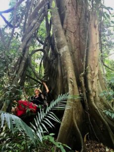 ecuador-yoga-school-ceibo