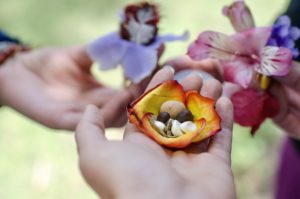 ecuador-yoga-school-flowers