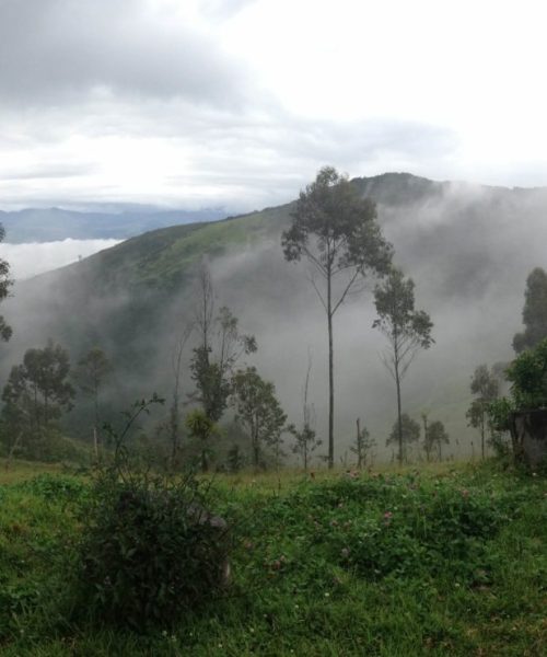 ecuador-yoga-school-the-house-mountains